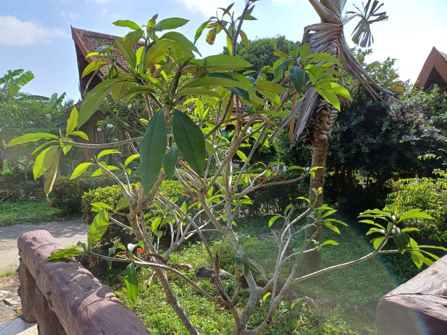 Orchid Home Koh Tao Exterior photo